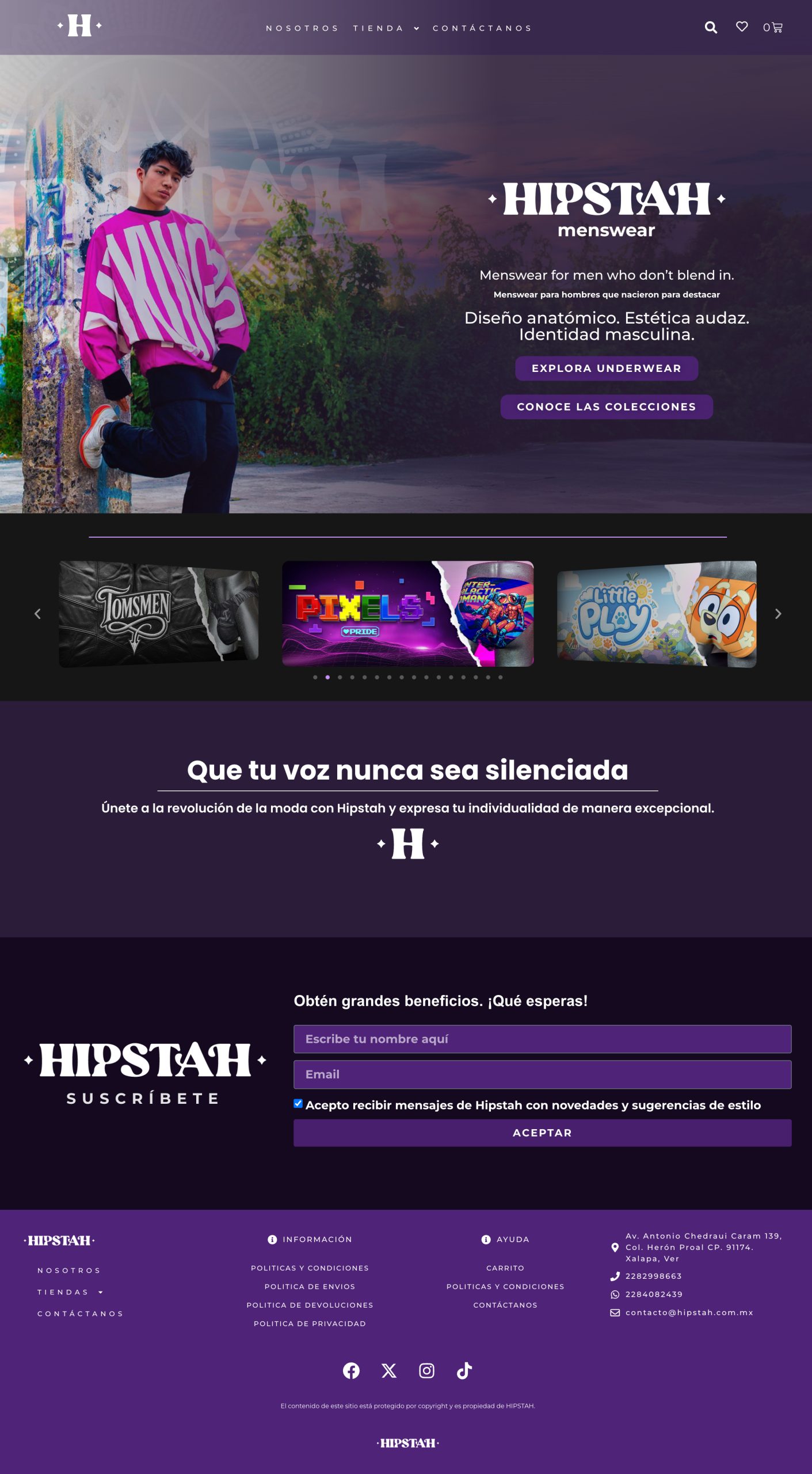 Website preview
