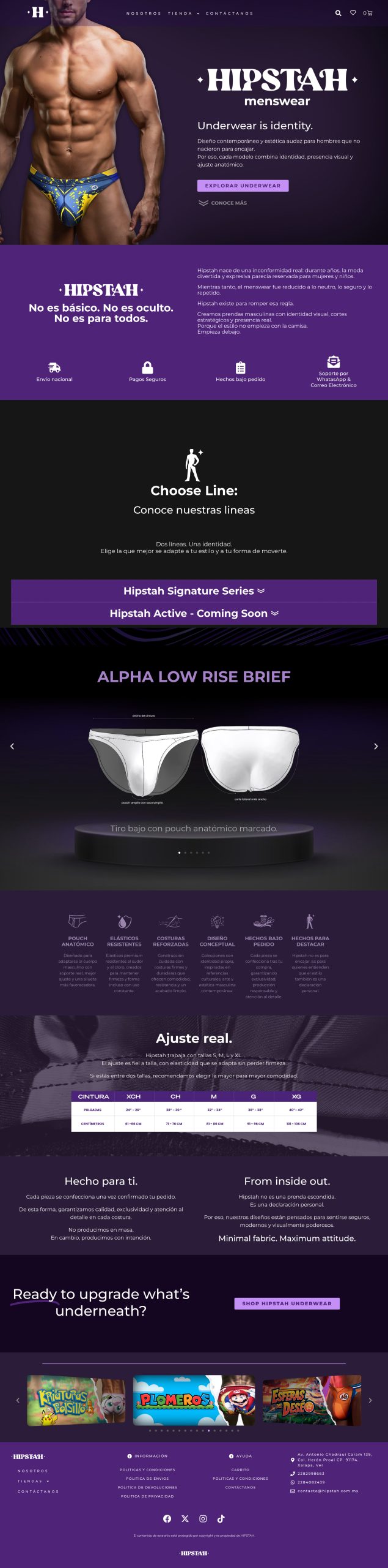 Website preview